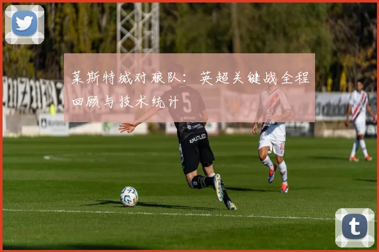 莱斯特城对狼队：英超关键战全程回顾与技术统计