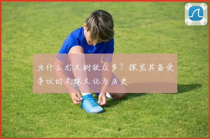 为什么尤文树敌众多？探究其备受争议的足球文化与历史