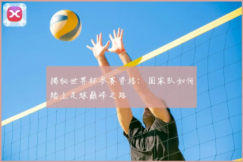 揭秘世界杯参赛资格：国家队如何踏上足球巅峰之路