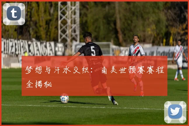 梦想与汗水交织：南美世预赛赛程全揭秘