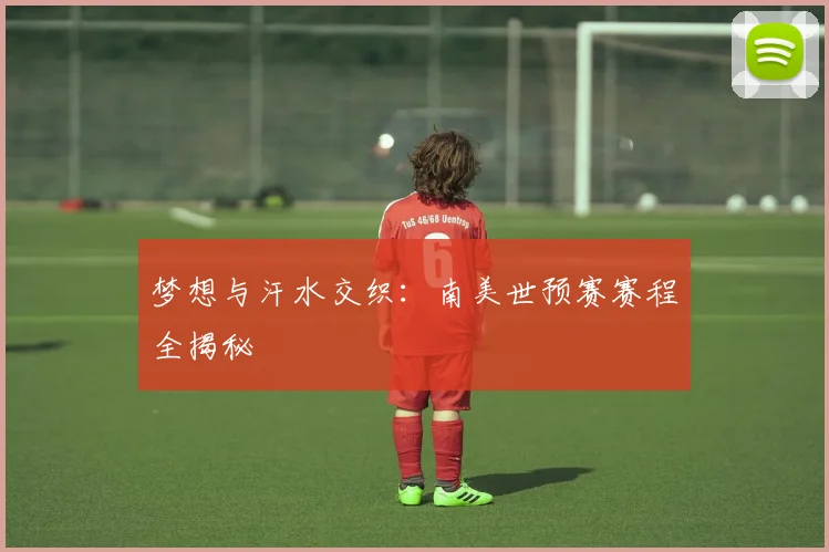 梦想与汗水交织：南美世预赛赛程全揭秘