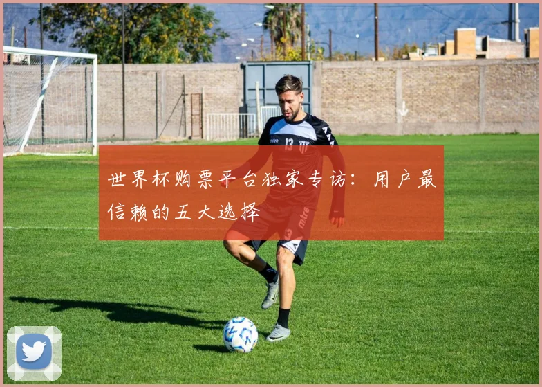 世界杯购票平台独家专访：用户最信赖的五大选择