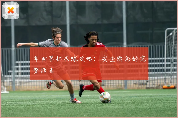 年世界杯买球攻略：安全购彩的完整指南