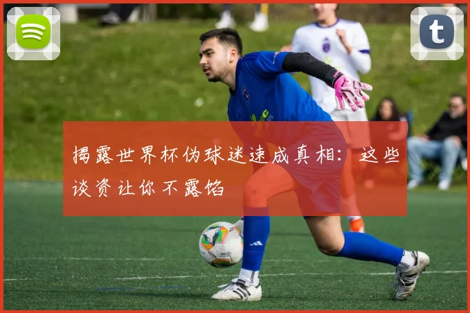 揭露世界杯伪球迷速成真相：这些谈资让你不露馅