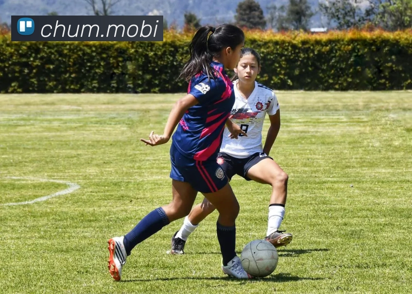 开云在线官方网站平台生态图