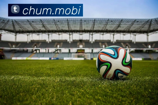 开云在线官方网站全站App